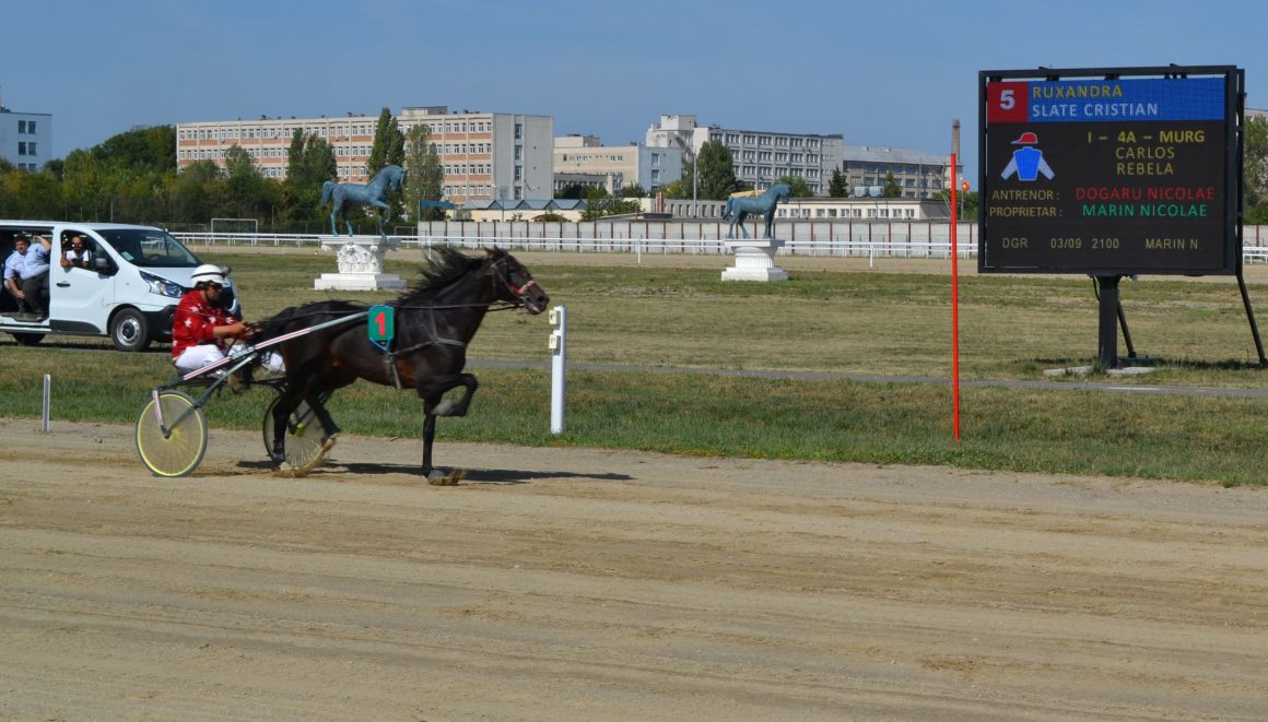 Star Nobel a câştigat „Premiul de încercare” şi e favorit în Derby-ul de Trap al României!