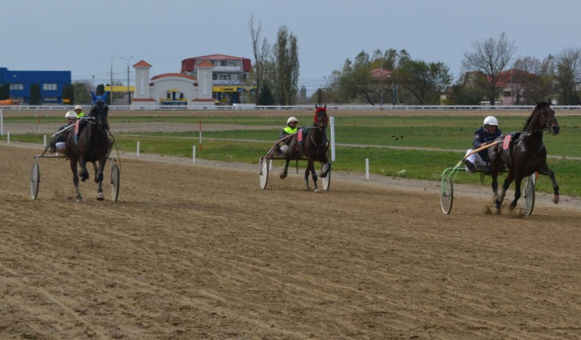 Duminică, pe Hipodrom, „Premiul Municipiului Ploieşti”! În premieră, curse demonstrative de galop!