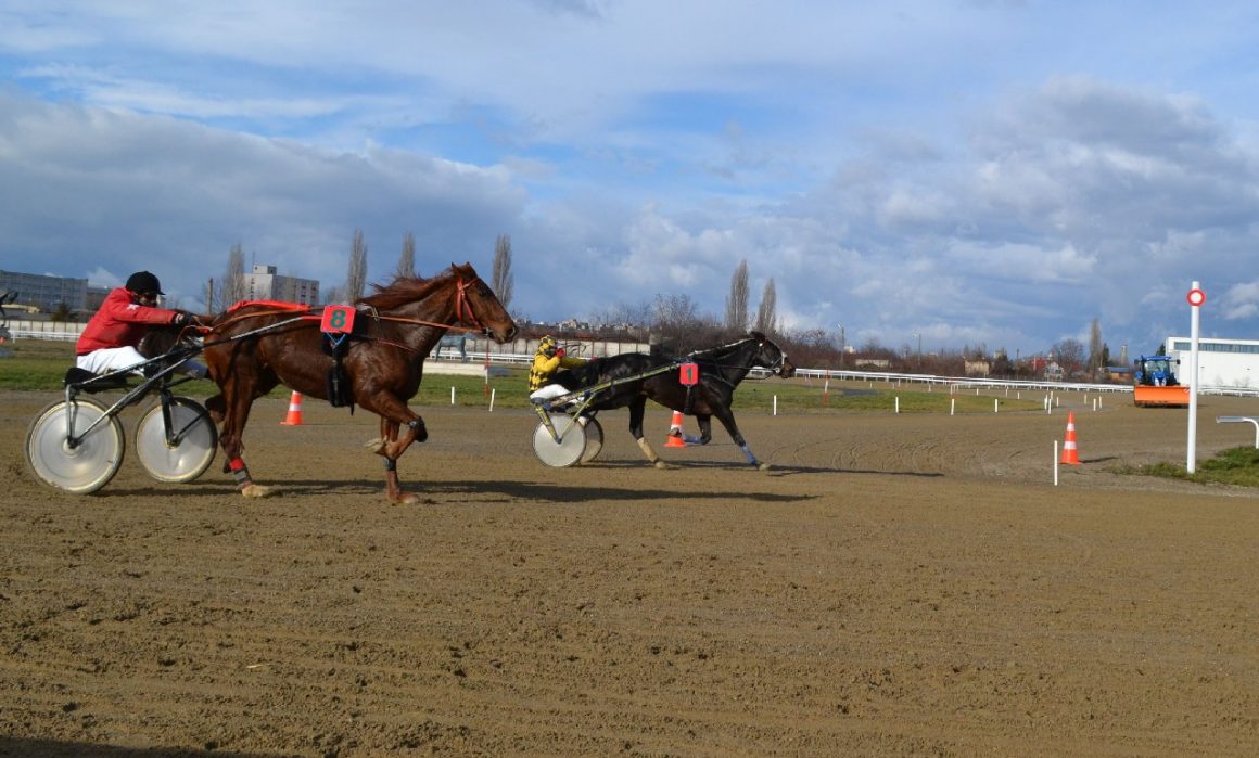 Iapa Beatrice VF a câştigat la fotofinish „Criteriul de Fond”!