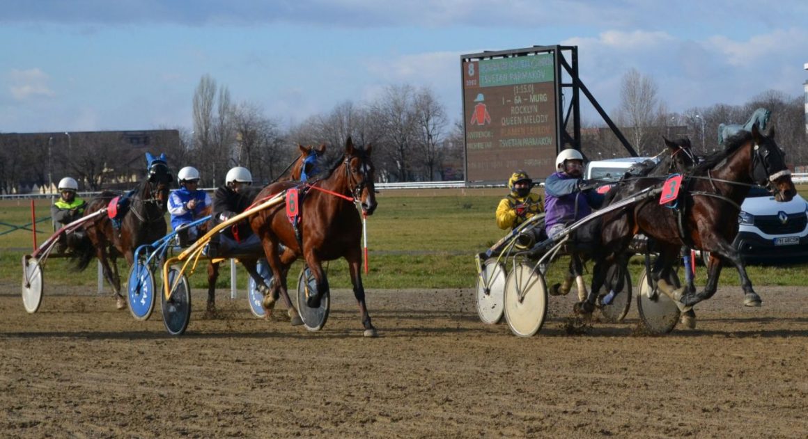 Final de stagiune pe Hipodrom: duminică se ţine Premiul de Închidere!