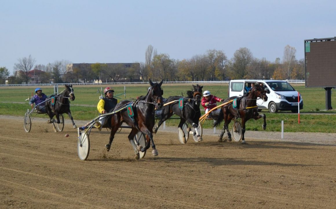 Reuniune atractivă, duminică, pe Hipodrom: Premiul Hambletonian şi Criteriul de Fond, cursele zilei!