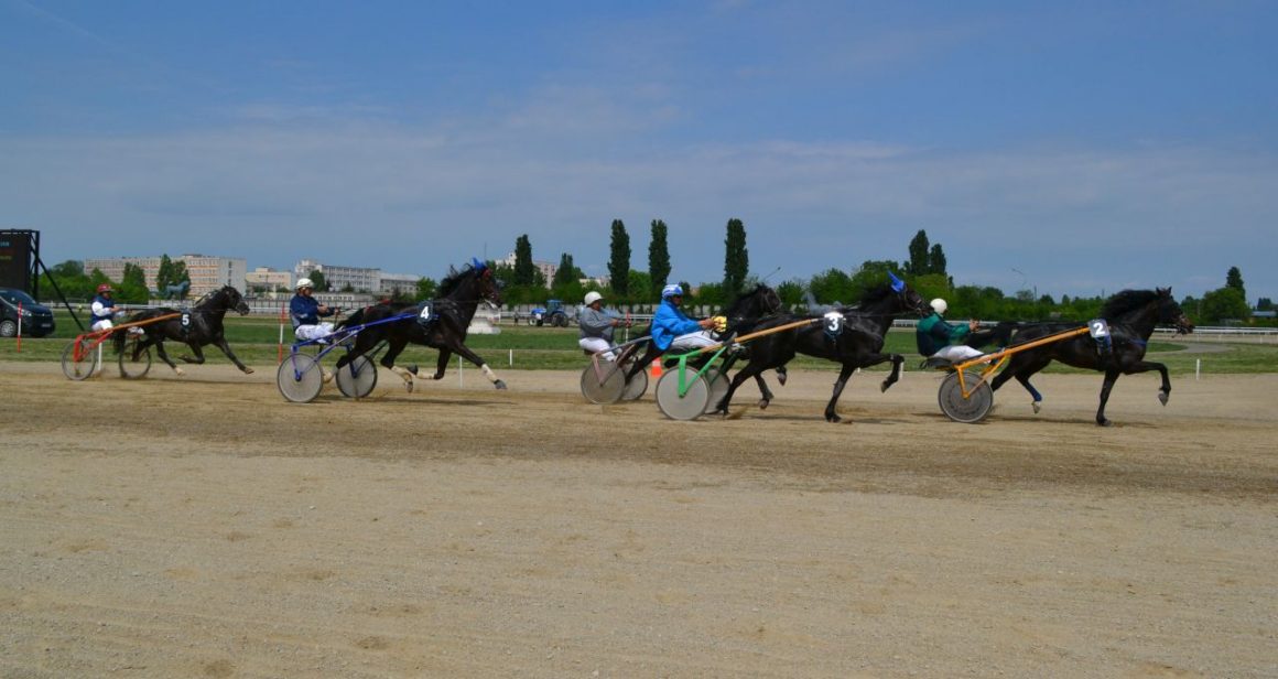 Hipodromul Ploieşti: armăsarul Ramon II a câştigat „Premiul de Deschidere”!