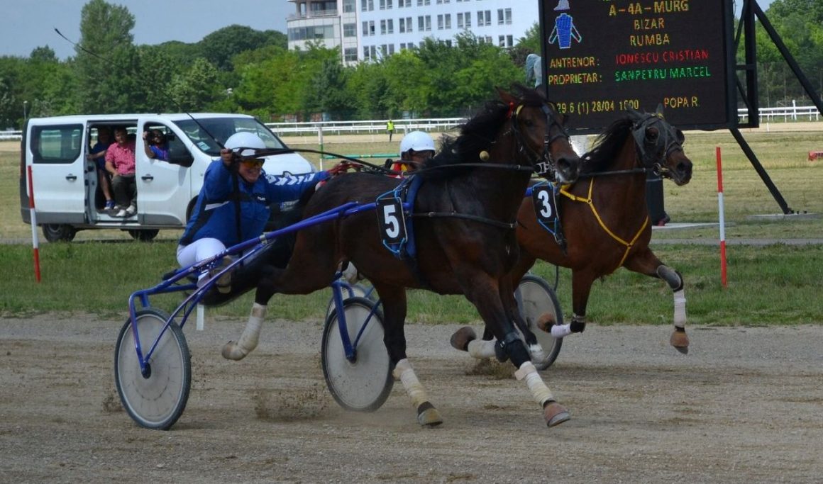 Duminică, pe Hipodrom, curse de galop, ponei şi „Premiul Constantin şi Elena”!