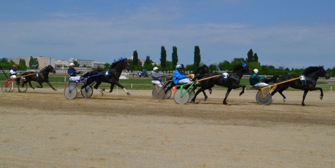 Şapte curse atractive, de trap şi galop, duminică, pe Hipodromul Ploieşti!