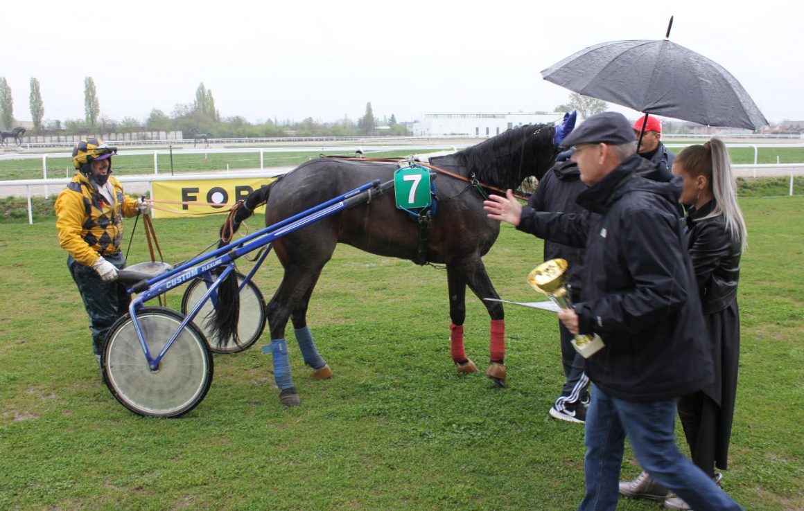 Hipodromul Ploieşti: armăsarul Bădie VF, primul performer al sezonului 2019!