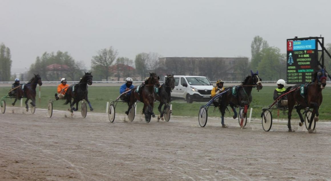Hipodromul Ploieşti: Premiul de Paşte, punctul de atracţie al reuniunii de sâmbătă!