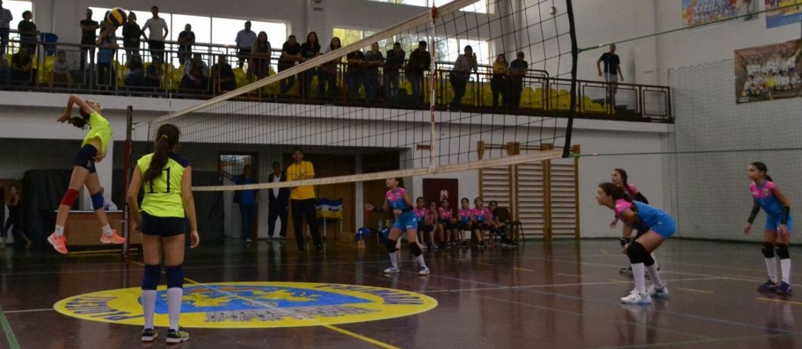 Debut cu trei victorii pentru echipele de minivolei ale CSM Ploieşti!