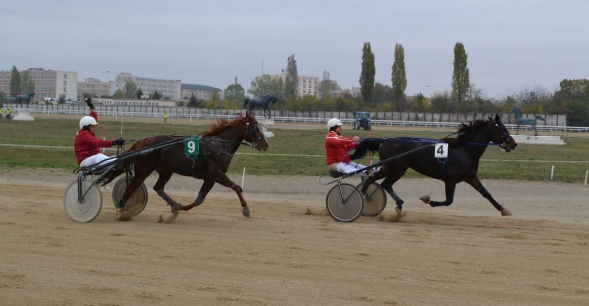 Hipodromul Ploieşti: iapa Ilinka a câştigat Premiul Olimp – Fortuna Gold!