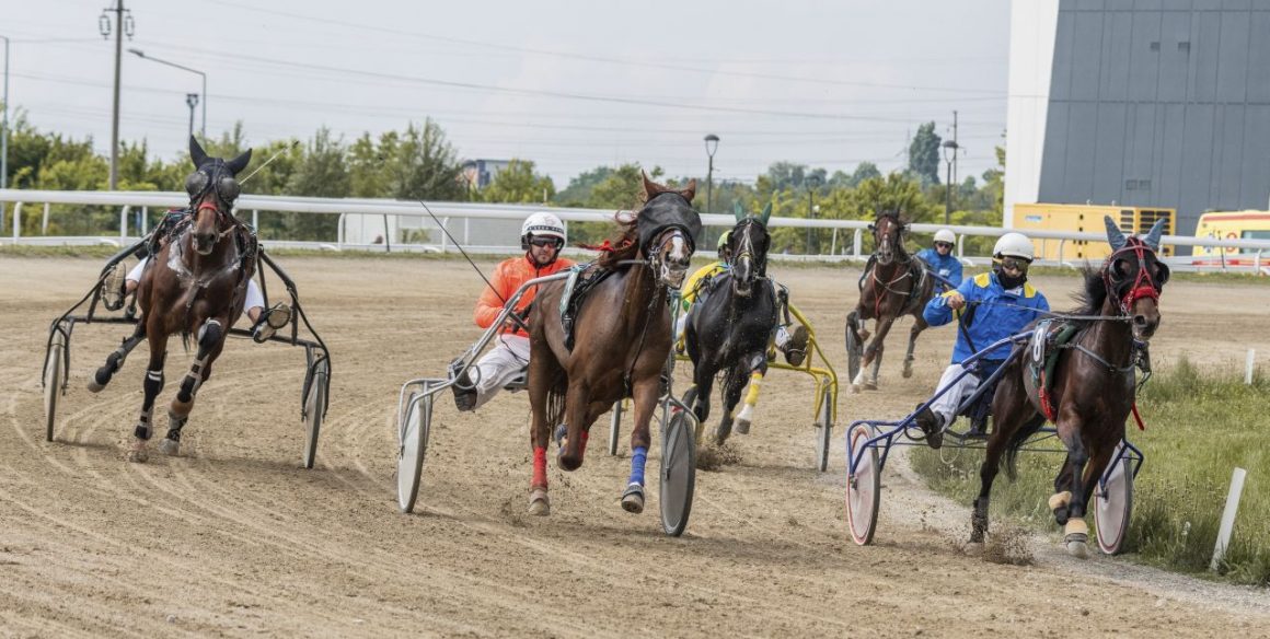 Hipodromul Ploieşti: Premiul „Castanilor”, principala cursă a reuniunii de duminică!