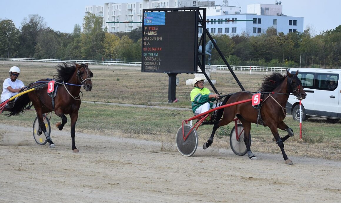 Hipodromul Ploieşti: iapa Brigitta Gold BD s-a impus în Premiul Agriculturii!