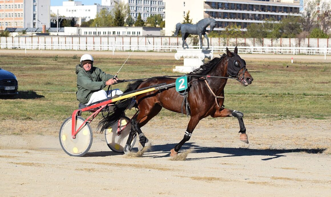 Brigitta Gold BD şi Hermes D’Etiolles, campionii zilei pe Hipodromul Ploieşti!