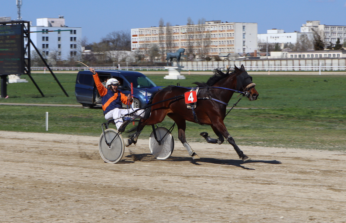 Hipodromul Ploieşti: iapa Zafira CD a câştigat Premiul de Deschidere „Gheorghe Tănase”!