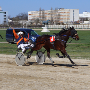 Hipodromul Ploieşti: iapa Zafira CD a câştigat Premiul de Deschidere „Gheorghe Tănase”! Hipodromul Ploieşti: iapa Zafira CD a câştigat Premiul de Deschidere „Gheorghe Tănase”!