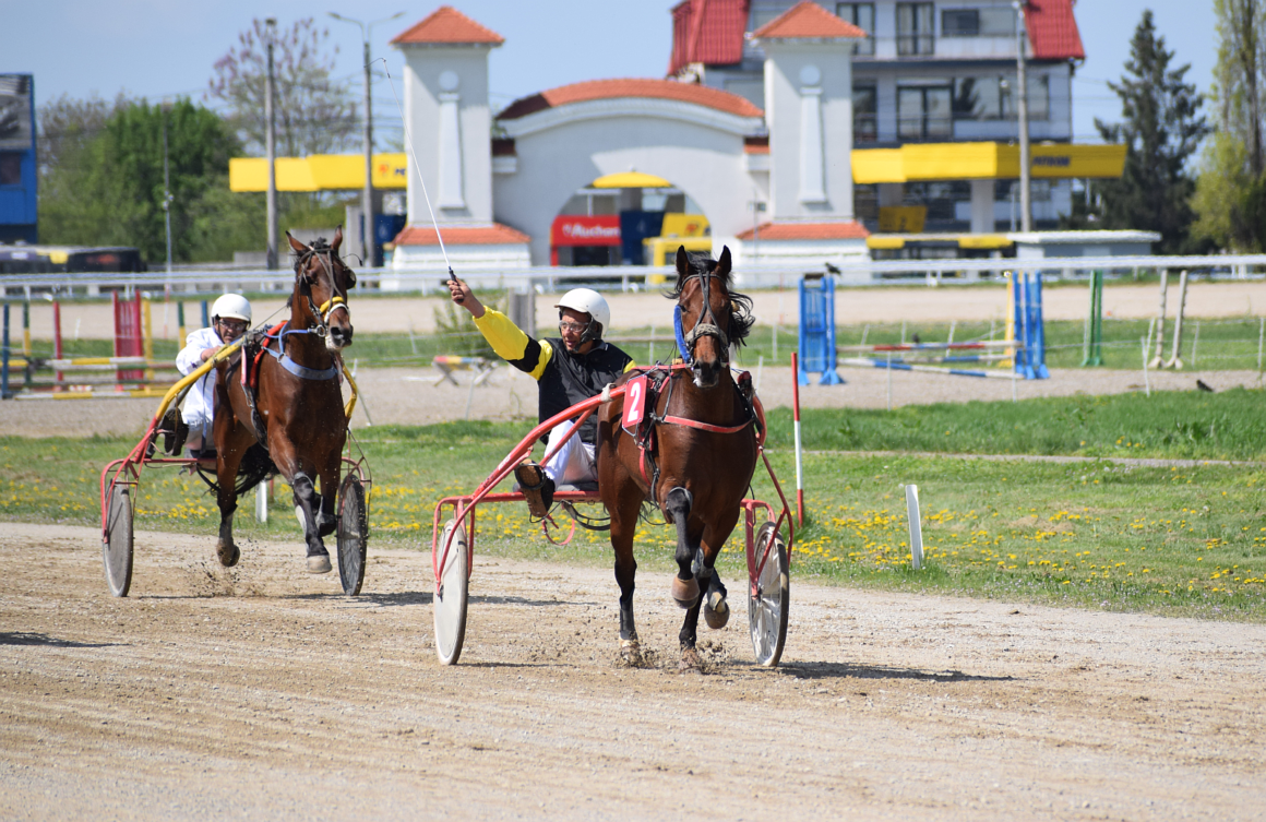 Hipodromul Ploieşti: armăsarul Vijelie STI a câştigat Premiul „Take Ionescu” la trap!