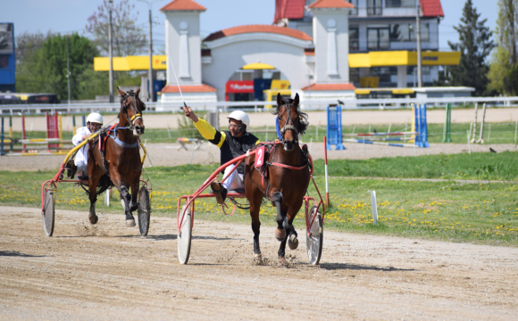 Hipodromul Ploieşti: armăsarul Vijelie STI a câştigat Premiul „Take Ionescu” la trap!