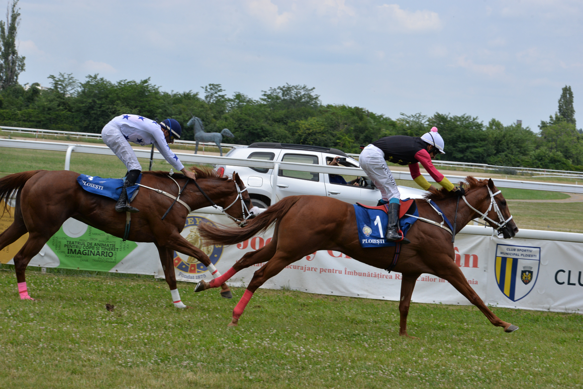Hipodromul Ploieşti: iapa Lola Go a câştigat Derby-ul Român de Galop! Hipodromul Ploieşti: iapa Lola Go a câştigat Derby-ul Român de Galop!