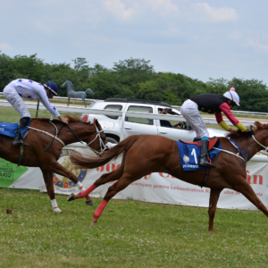 Hipodromul Ploieşti: iapa Lola Go a câştigat Derby-ul Român de Galop!