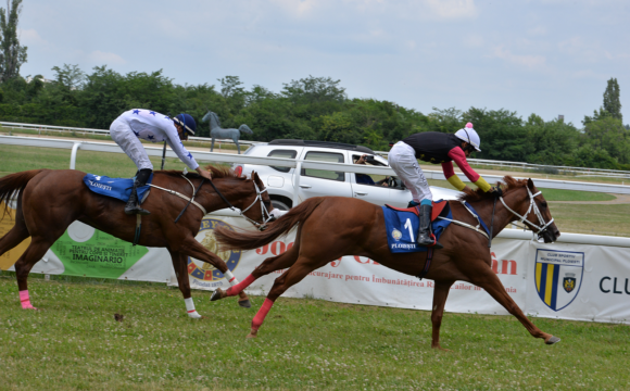 Hipodromul Ploieşti: iapa Lola Go a câştigat Derby-ul Român de Galop!