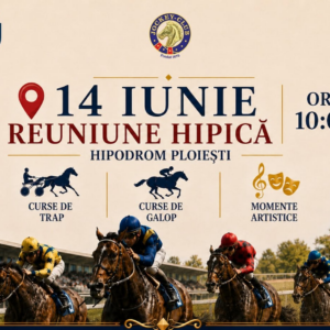 Reuniune cu 8 curse de trap şi galop, duminică, pe Hipodromul Ploieşti! Reuniune cu 8 curse de trap şi galop, duminică, pe Hipodromul Ploieşti!