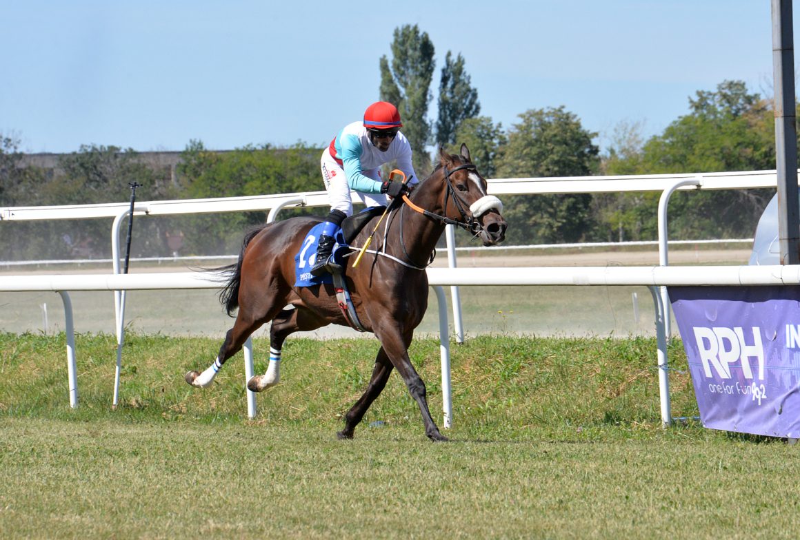 Hipodromul Ploieşti: armăsarul Ze Do Asfalto a câştigat Premiul de Toamnă, la galop! Hipodromul Ploieşti: armăsarul Ze Do Asfalto a câştigat Premiul de Toamnă, la galop!