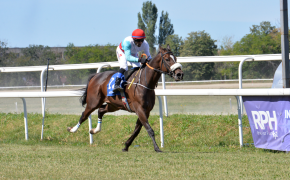 Hipodromul Ploieşti: armăsarul Ze Do Asfalto a câştigat Premiul de Toamnă, la galop!