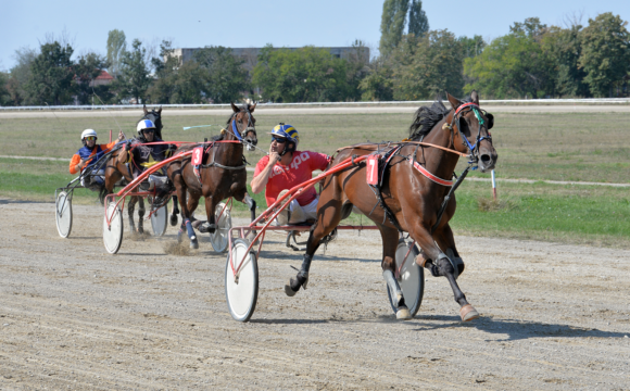 Hipodromul Ploieşti: revanşă pentru iapa Daiana în Criteriul Jockey Club Român!