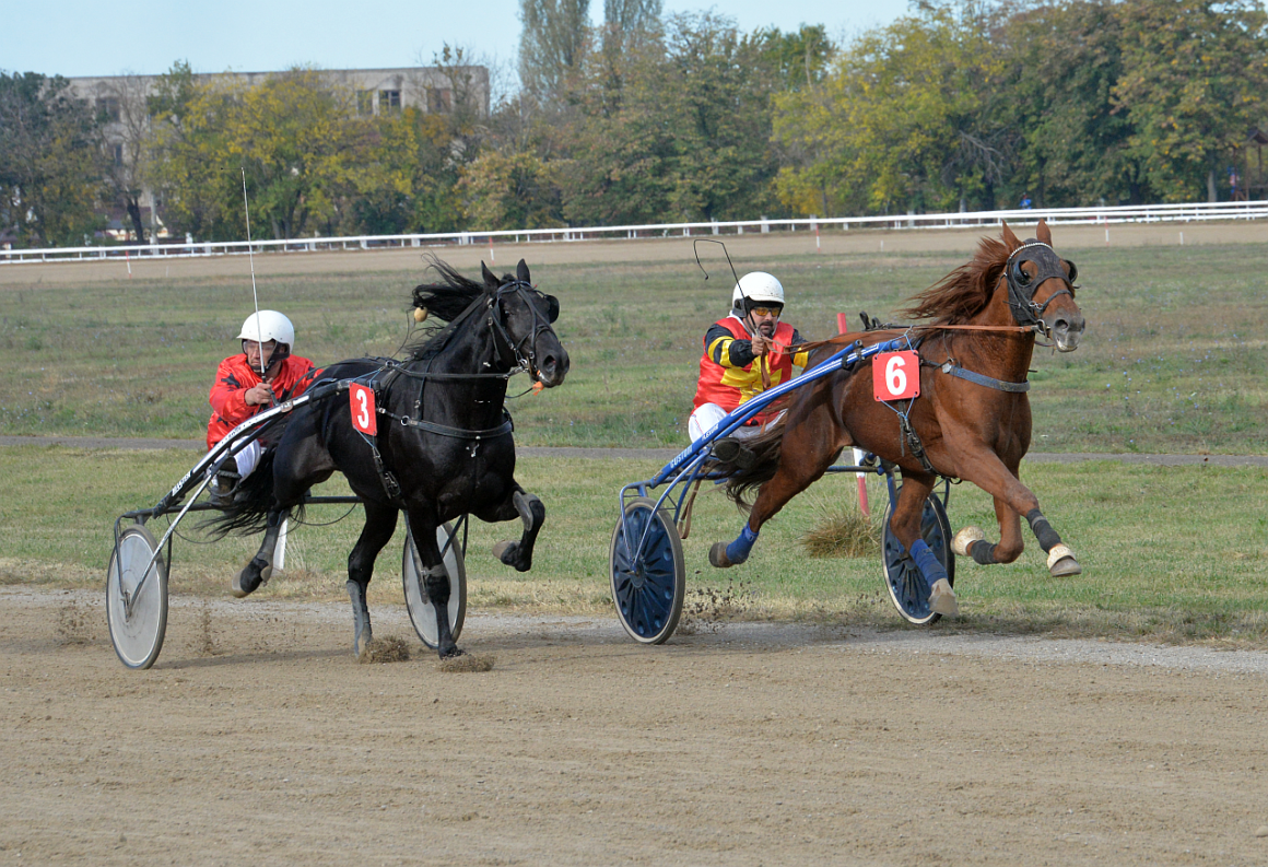 Bixio şi Habcsok K, campionii zilei pe Hipodromul Ploieşti! Bixio şi Habcsok K, campionii zilei pe Hipodromul Ploieşti!